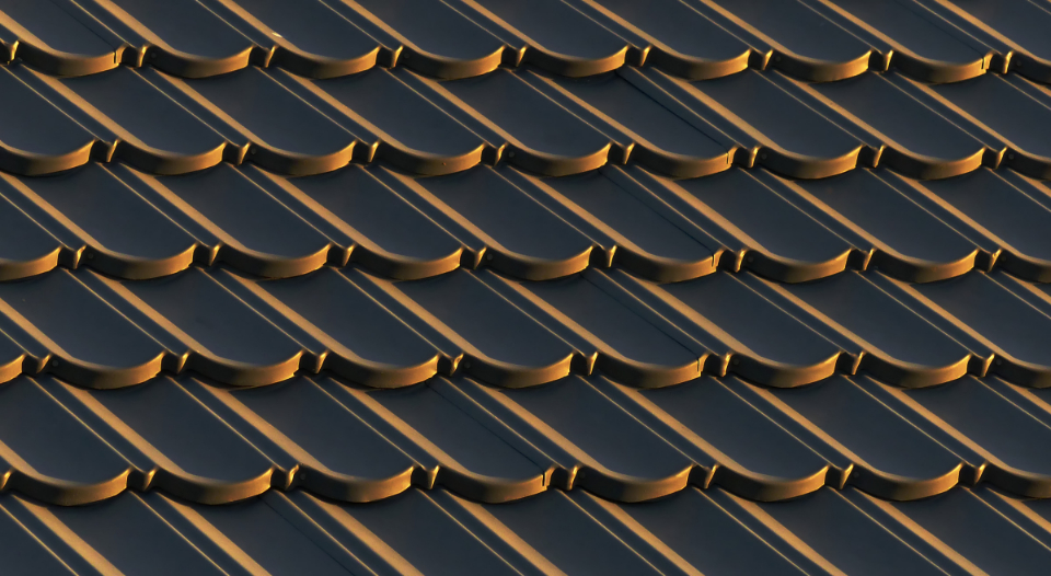 Roof Shingle