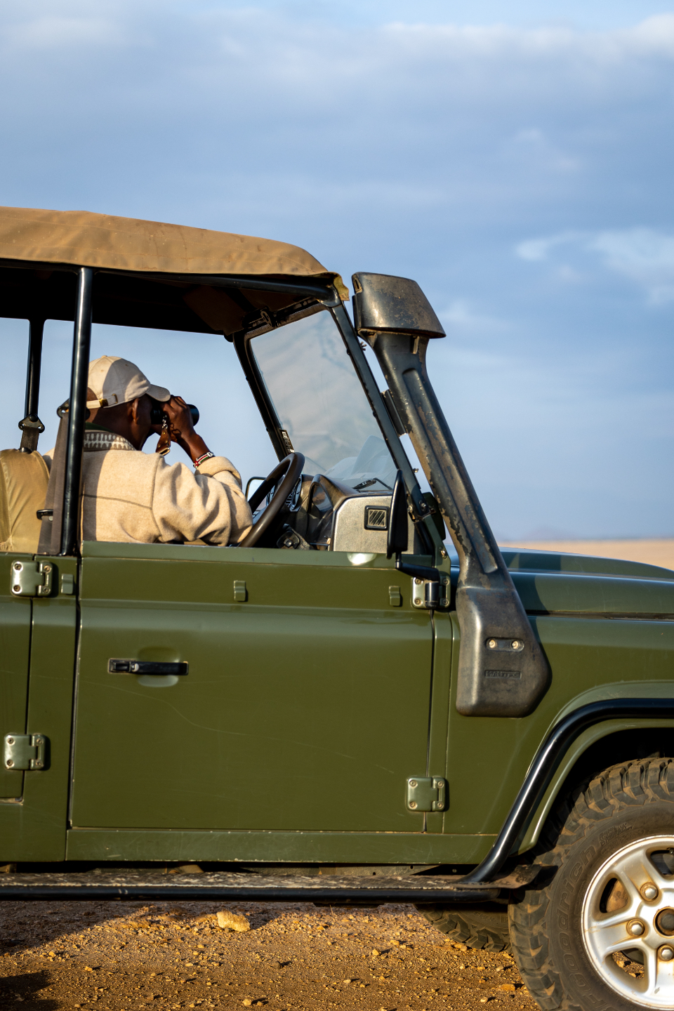 Safari Adventure