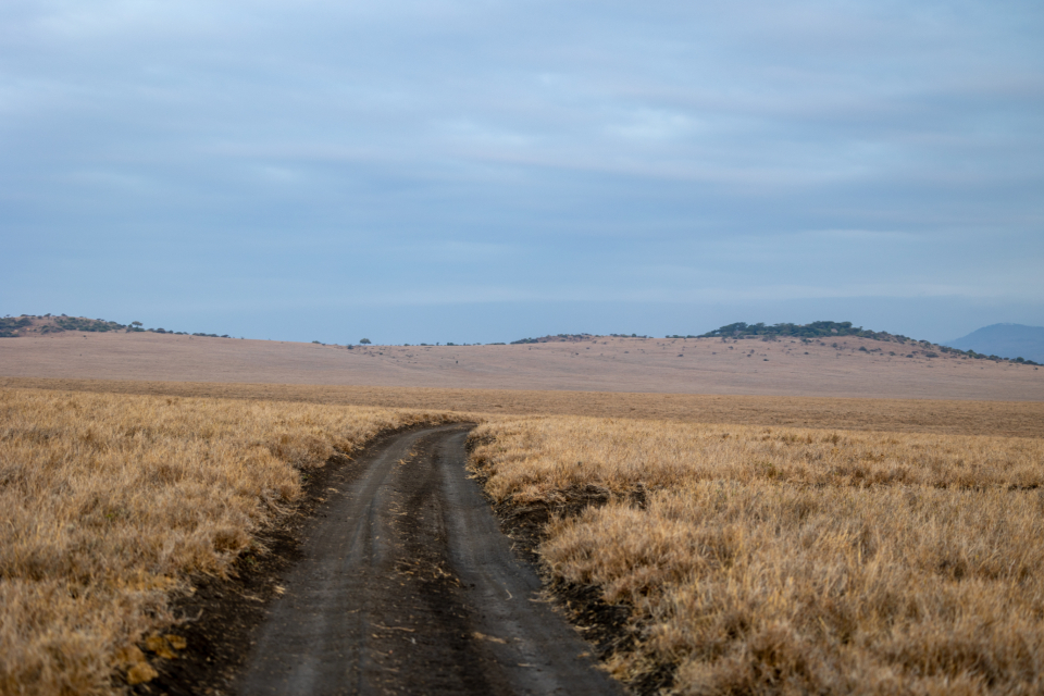 Dirt Road