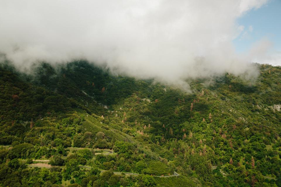 Fog Mountain