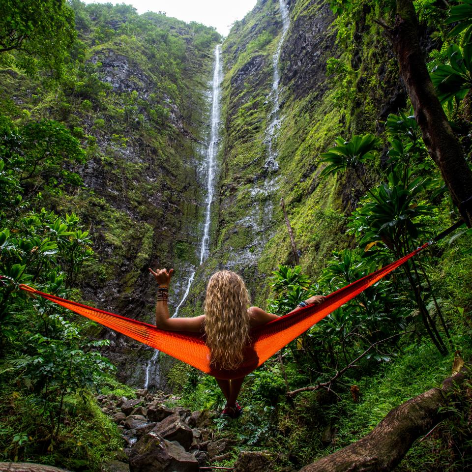 Nature Landscape