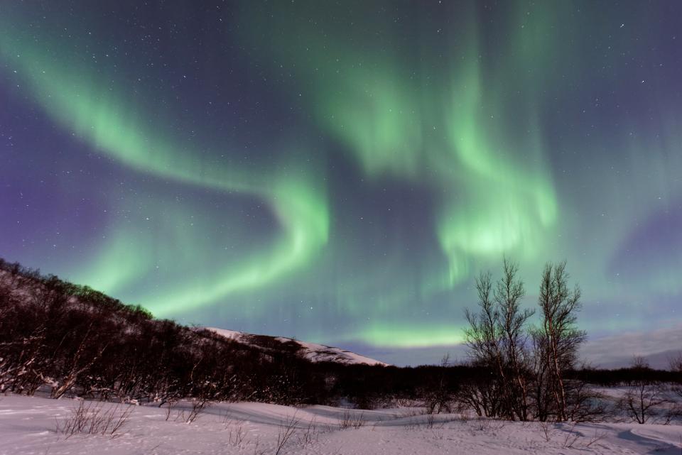 Aurora Green