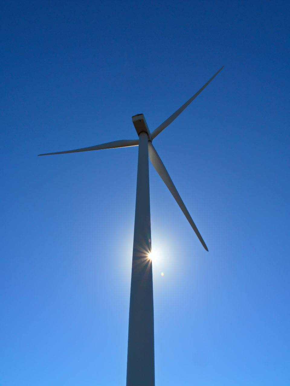 Wind Mill