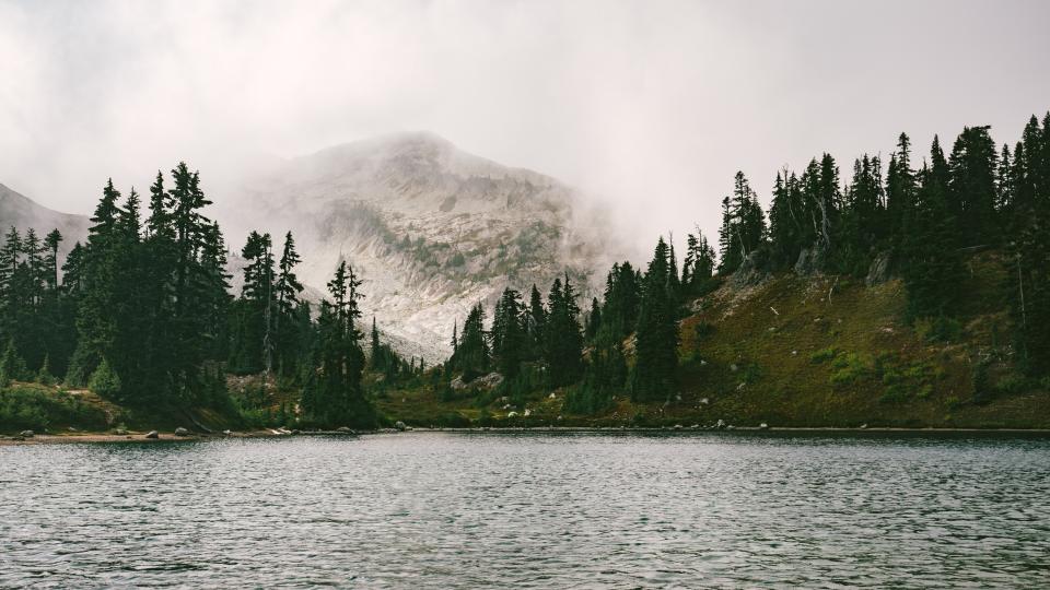 Nature Landscape