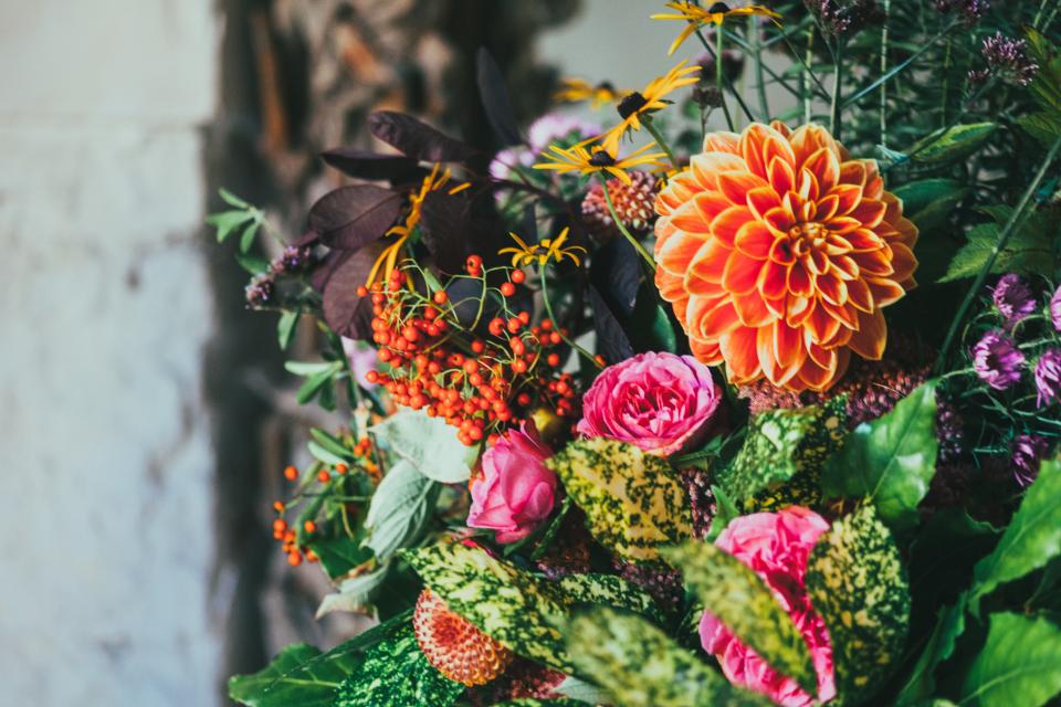 Flowers Colorful