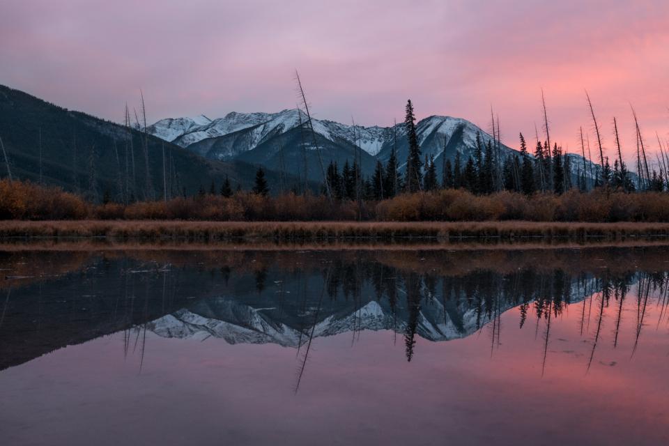 Nature Landscape