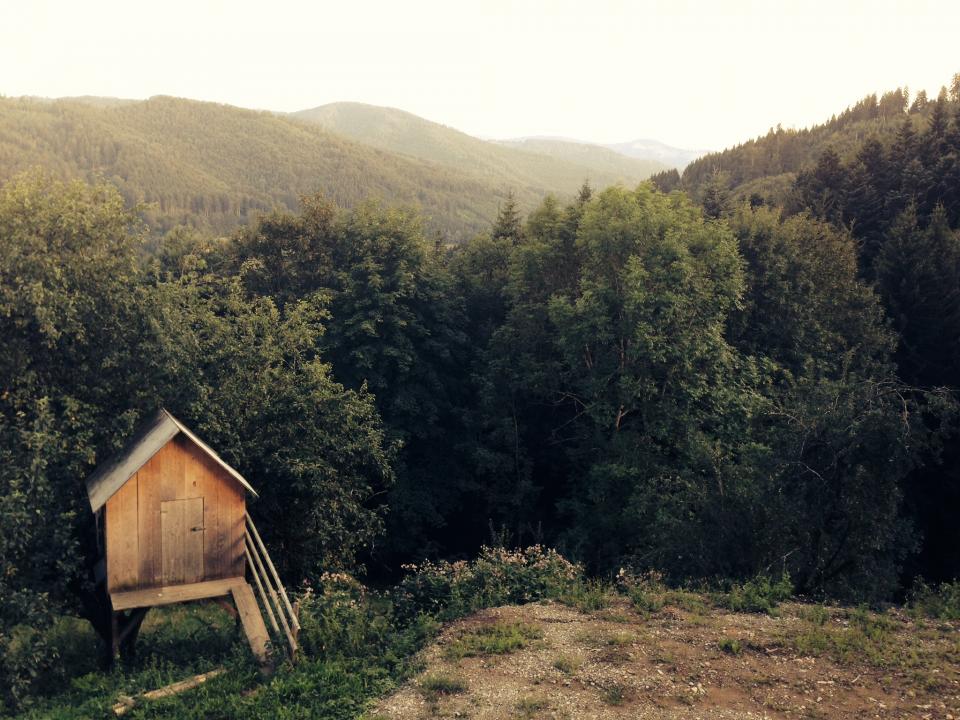 Wood Shed