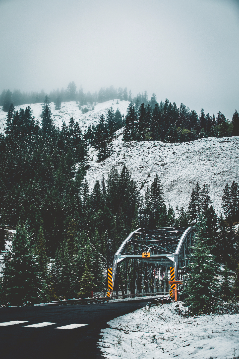 Winter Snowing
