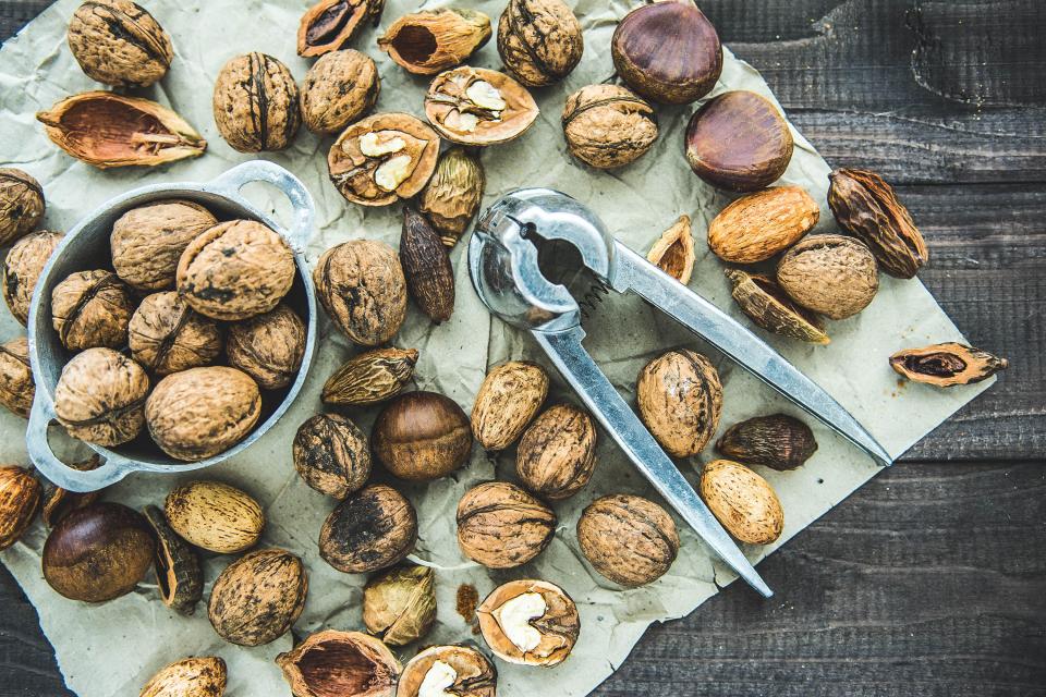 Seeds Nut