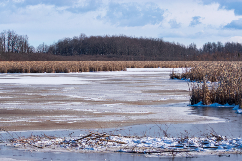 Frozen Lake