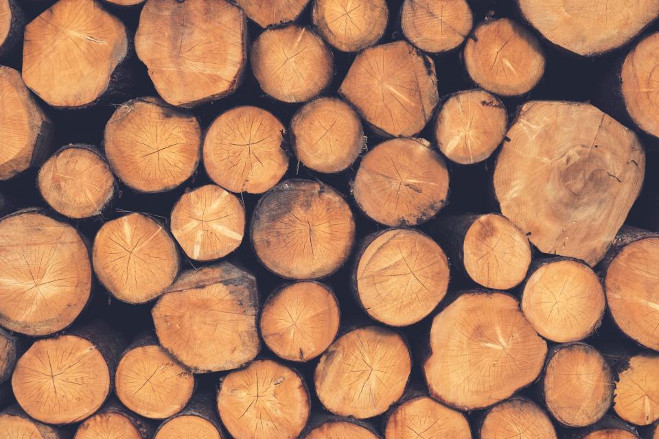 Wood Lumber