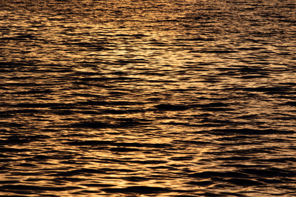 Rippled Water
