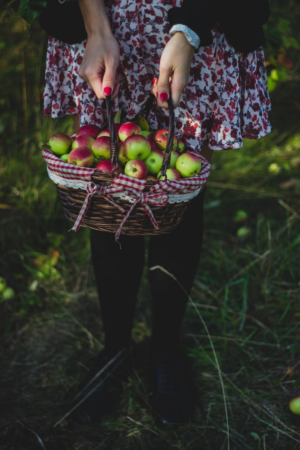 Apple Basket