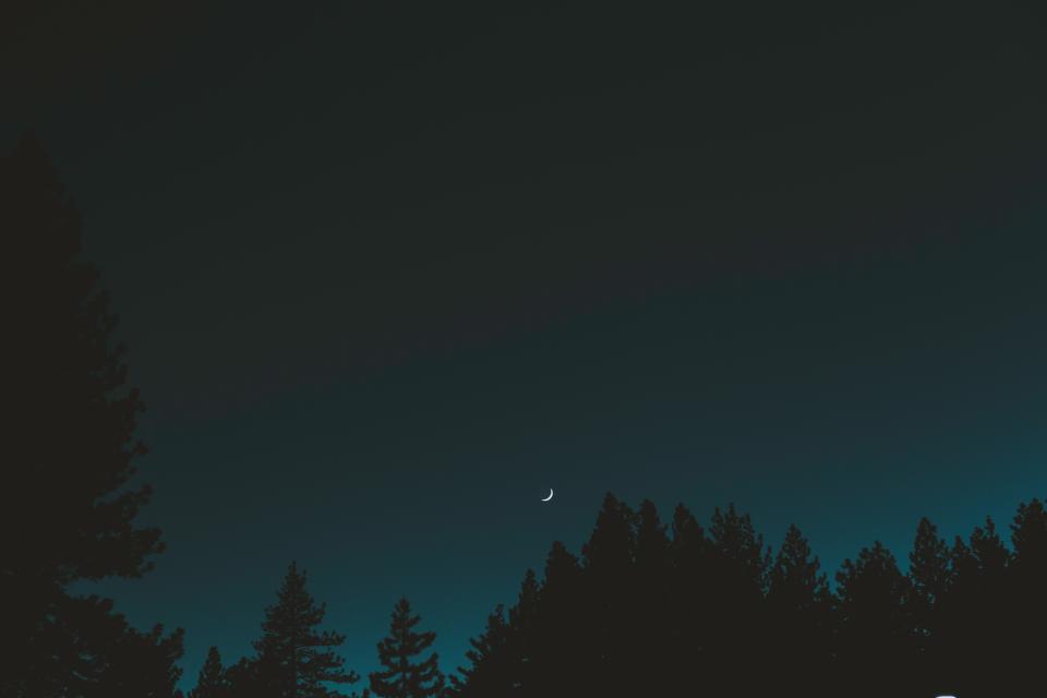 Dark Night