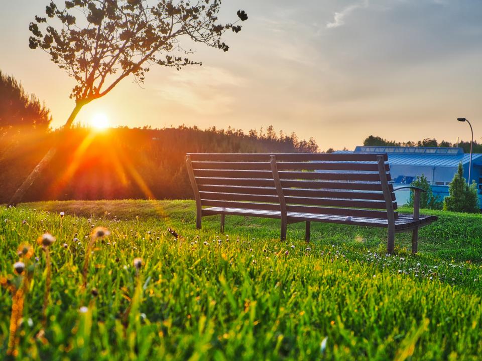 Green Grass