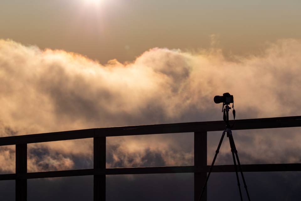 Camera Silhouette