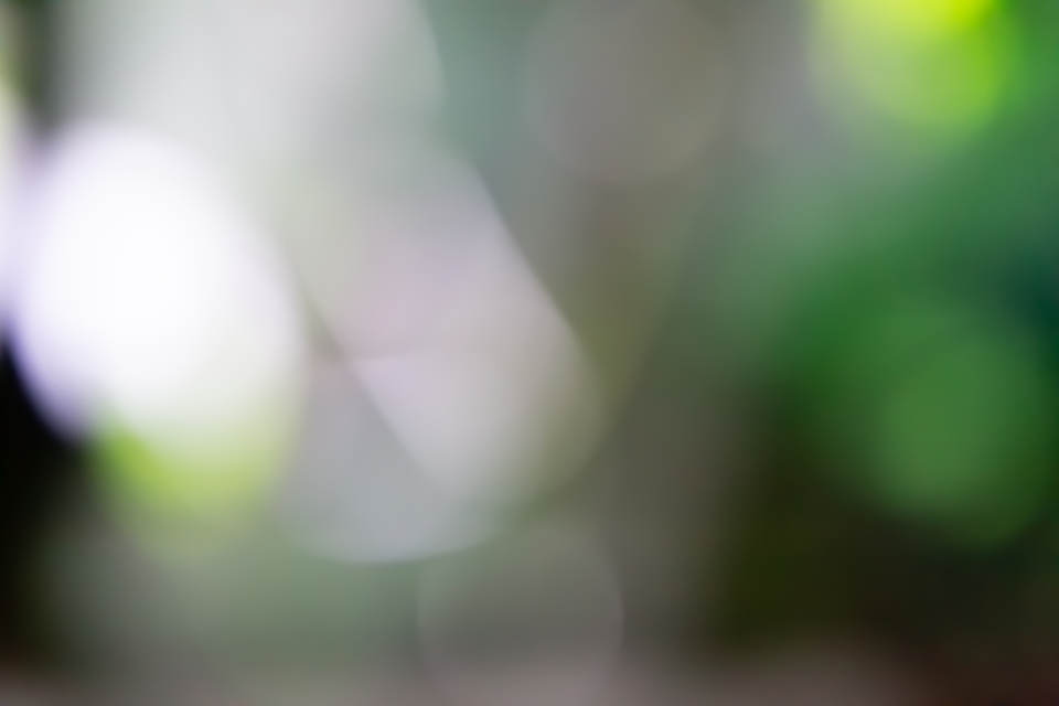 Colorful Bokeh