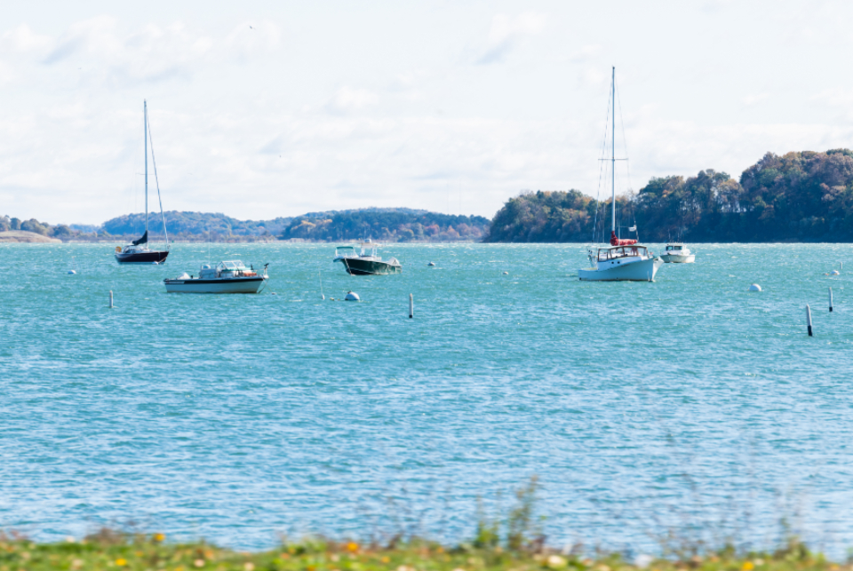 Sail Boat