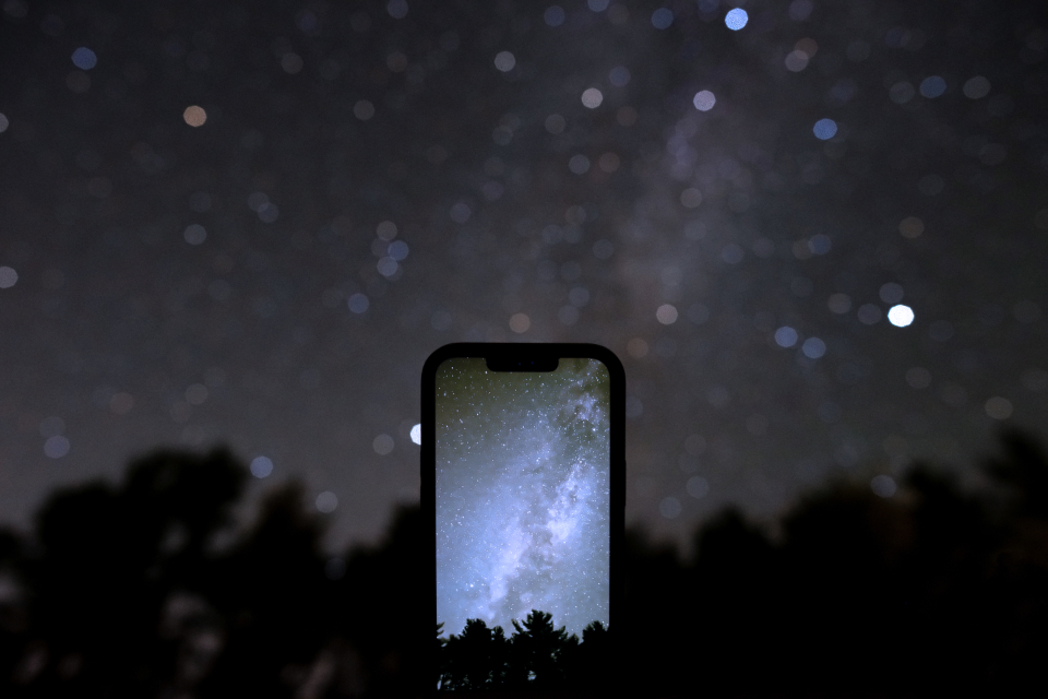 Milky Way Stars