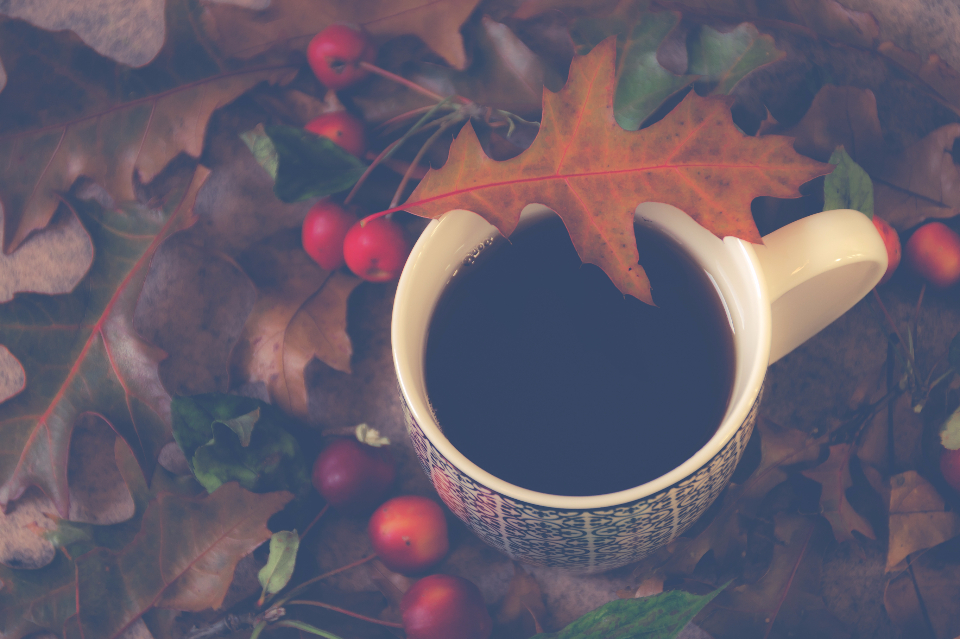 Coffee Cup