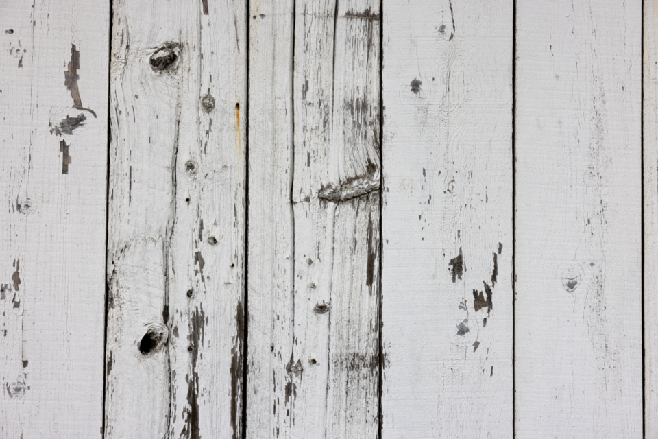 Wood Texture