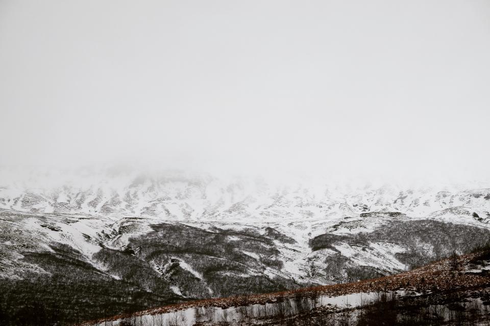 Nature Landscape