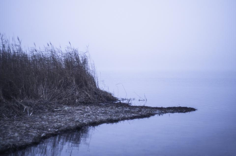 Lake Water
