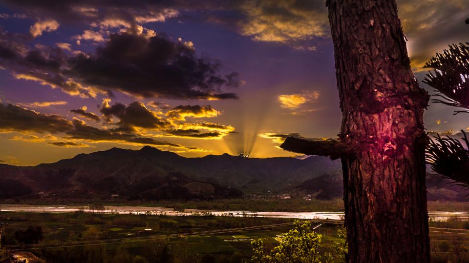 Landscape Nature
