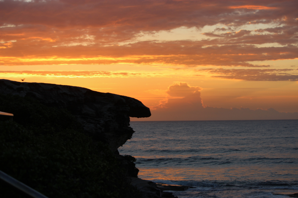 Ocean Cliff