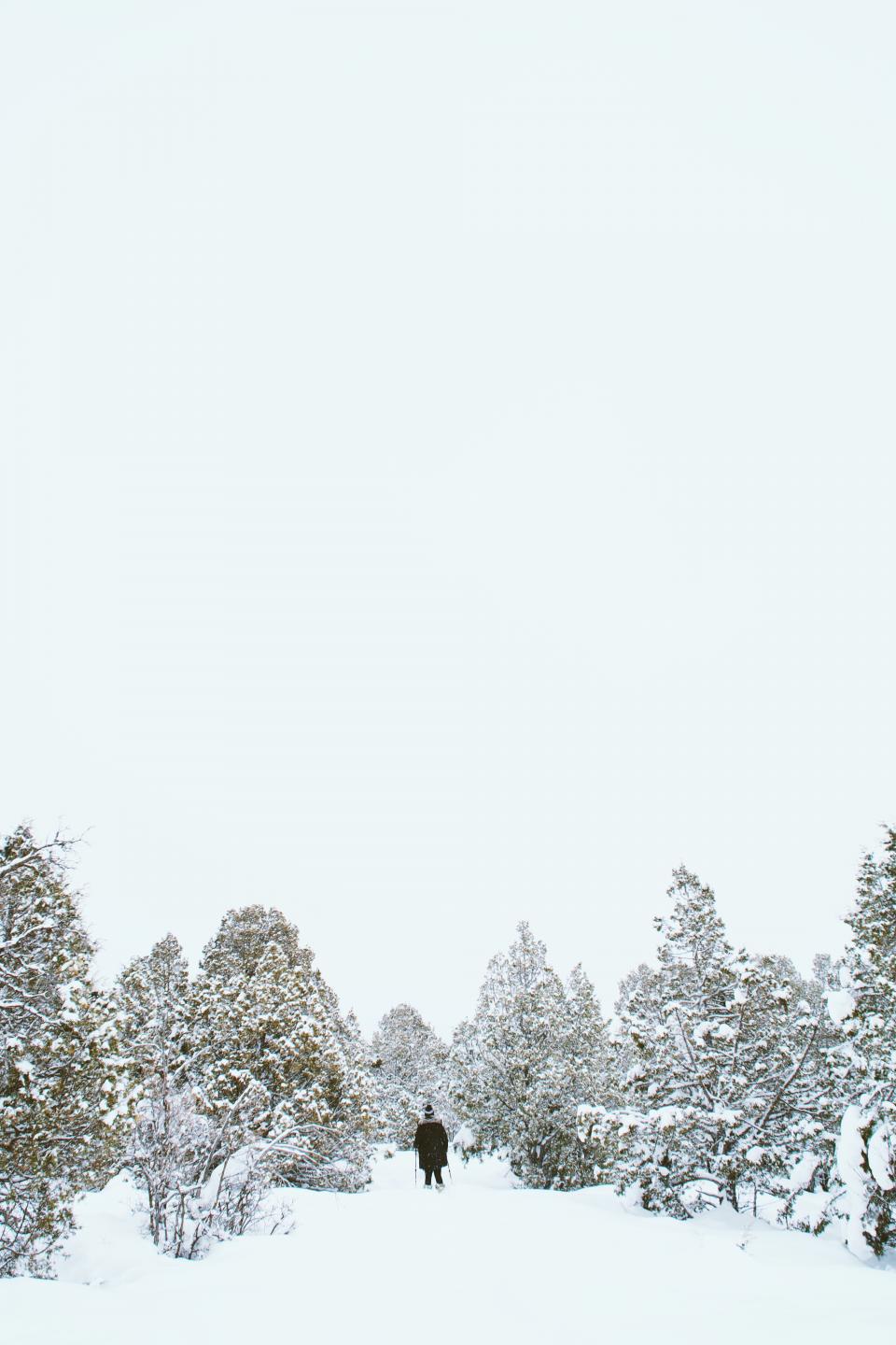 Snow Winter