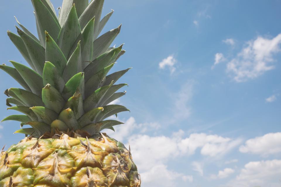 Pineapple Dessert