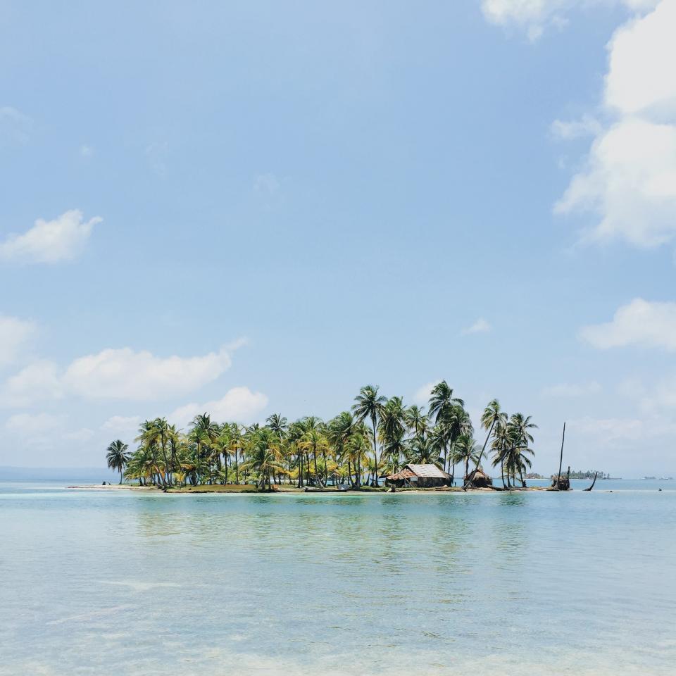 Palm Trees Island