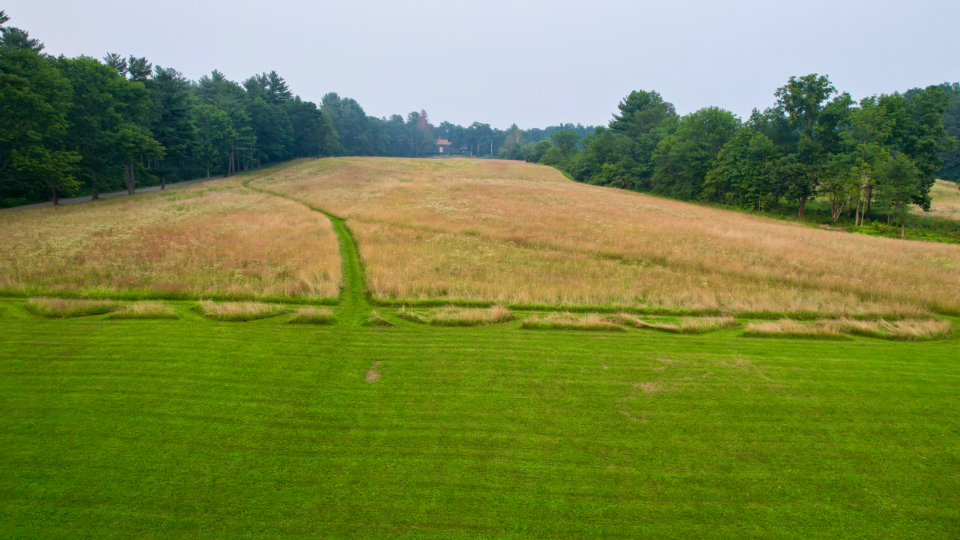 Grassy Field
