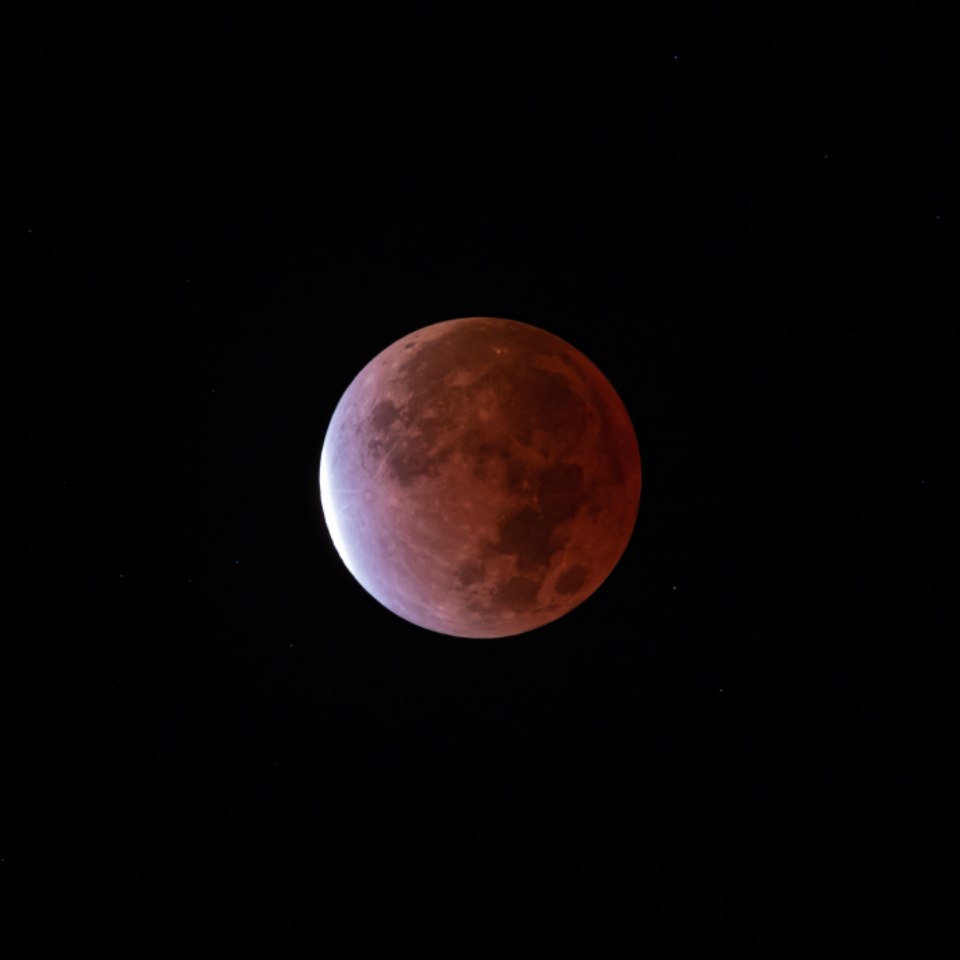 Moon Night