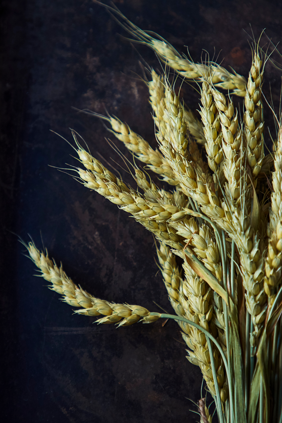 Light Wheat