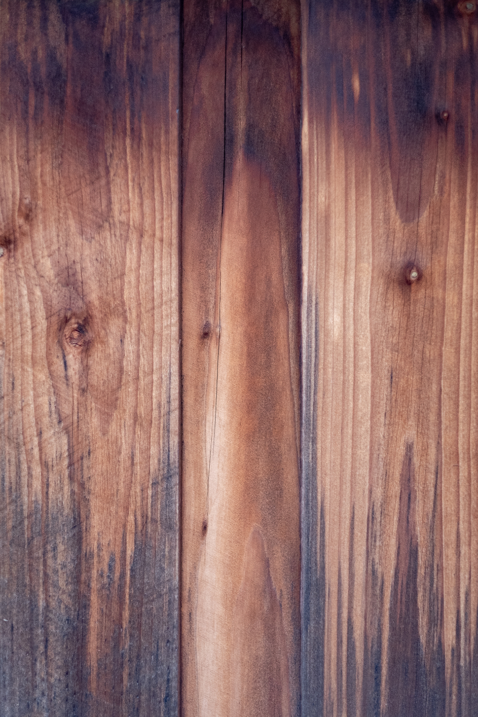Wood Texture