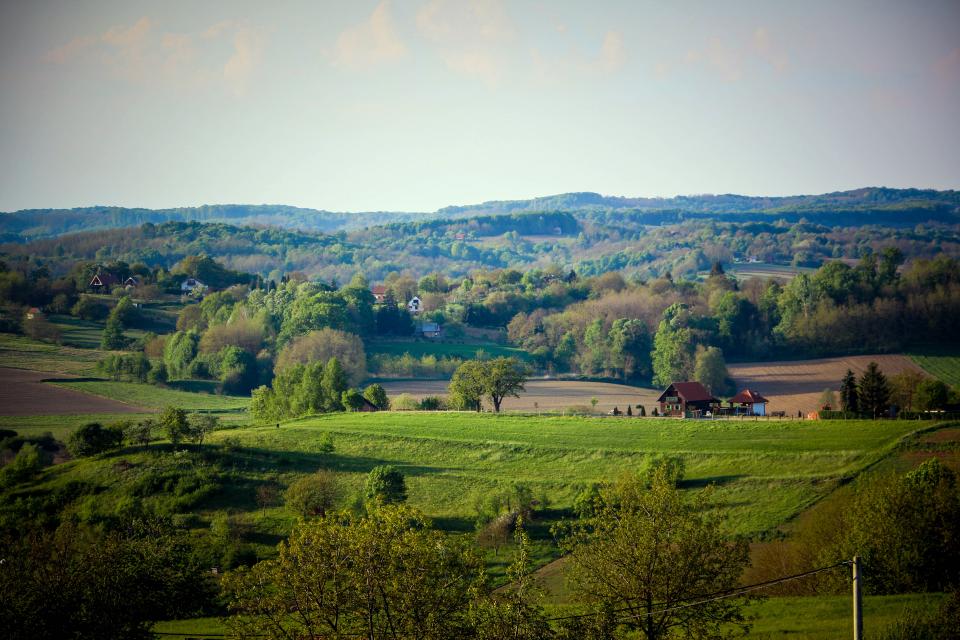 Nature Landscape