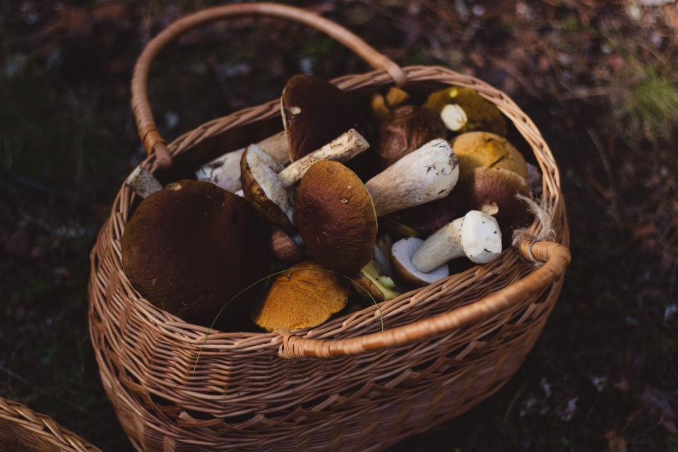 Woven Basket