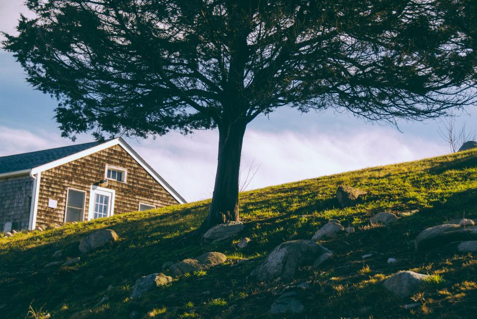 Nature Landscape