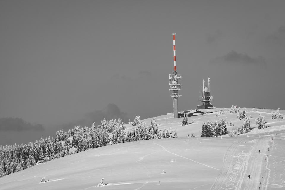 Snow Winter
