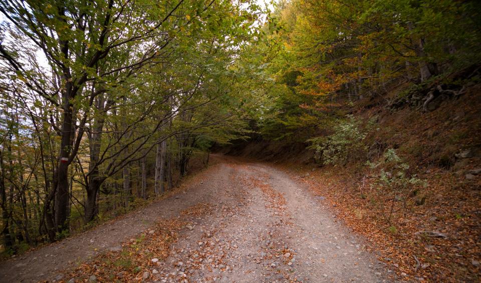 Road Path