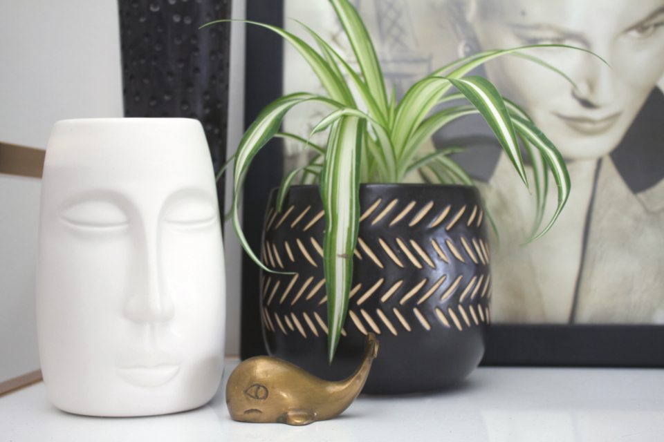 Plant Home