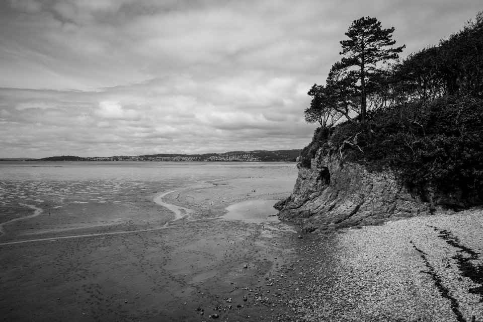 Coastal Cliff