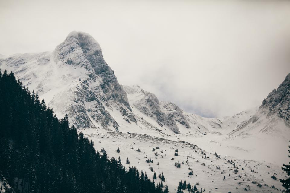 Mountain Highland