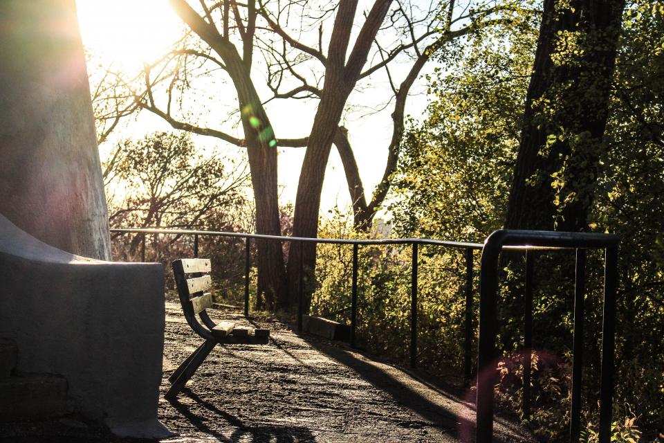 Bench Sunlight