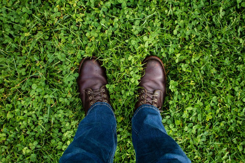 Green Grass