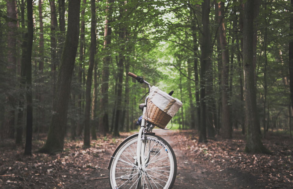 Vintage Bike