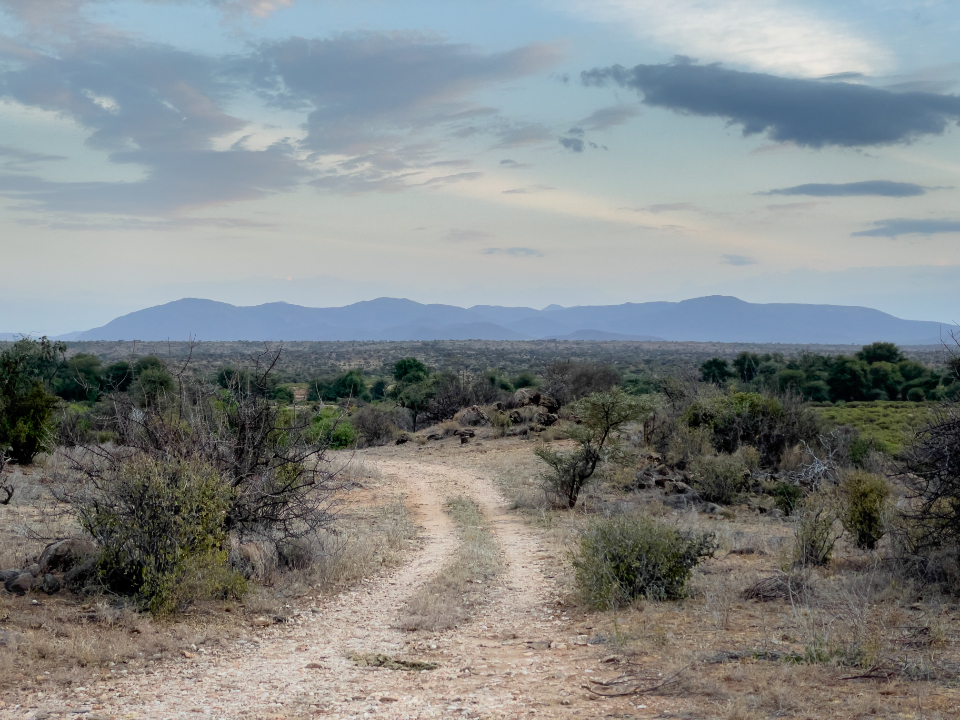 Dirt Road