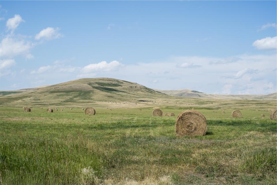 Hay Bales