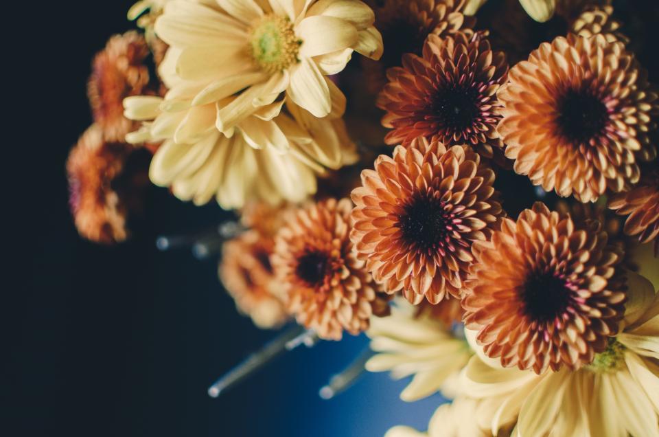 Flower Yellow